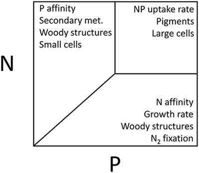 From Elements to Function: Toward Unifying <mark class="highlighted">Ecolog</mark>ical Stoichiometry and Trait-Based <mark class="highlighted">Ecolog</mark>y